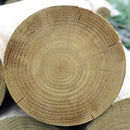 200mm Pressure Treated Rounds