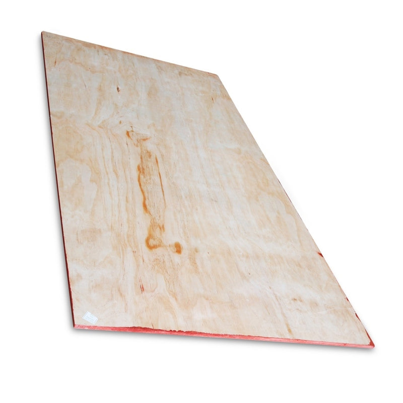 Pine Ply